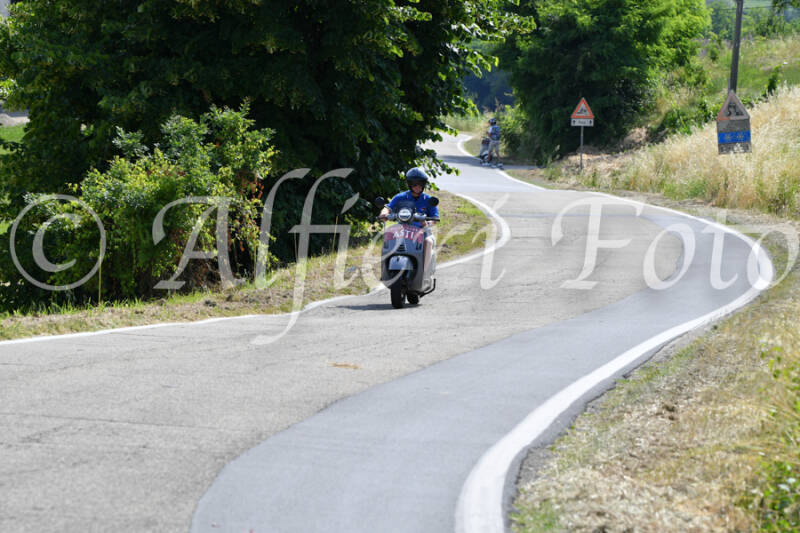 dsc_4307-standard-gm27rl.jpg
