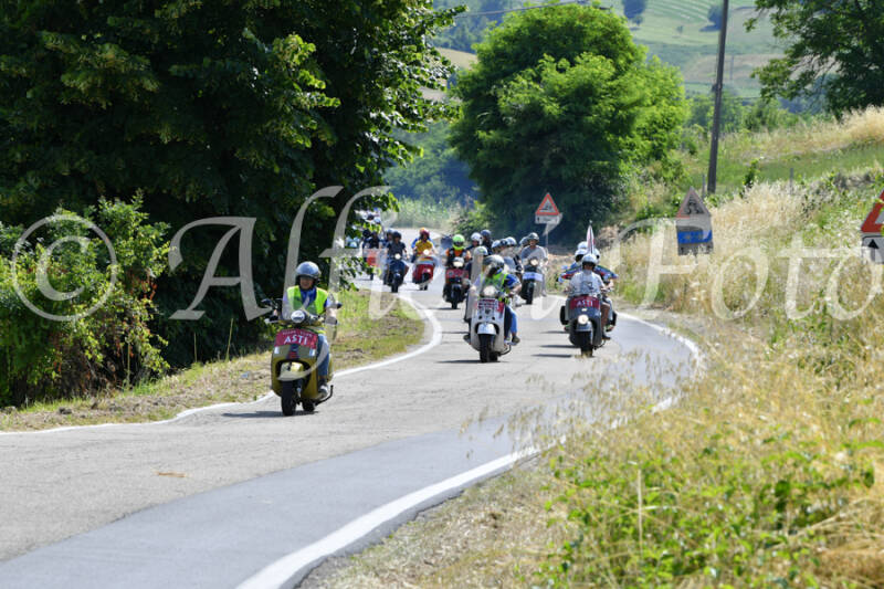 dsc_4309-standard-xqelh0.jpg