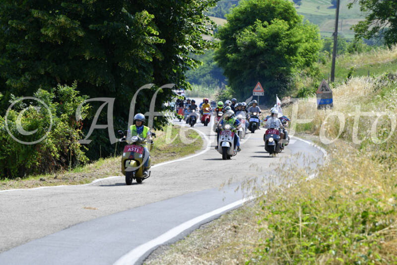dsc_4310-standard-ai19tk.jpg