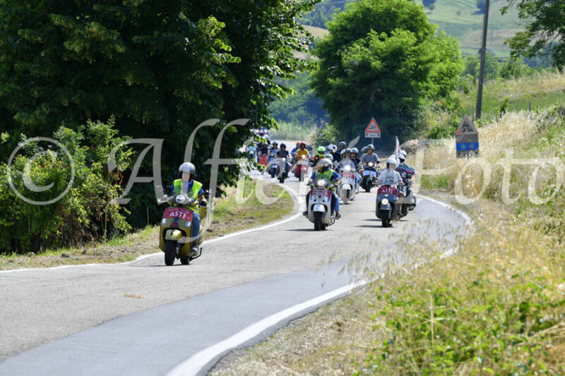 dsc_4311-standard-jek0sv.jpg