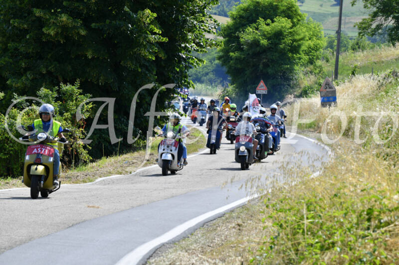 dsc_4315-standard-or18j6.jpg