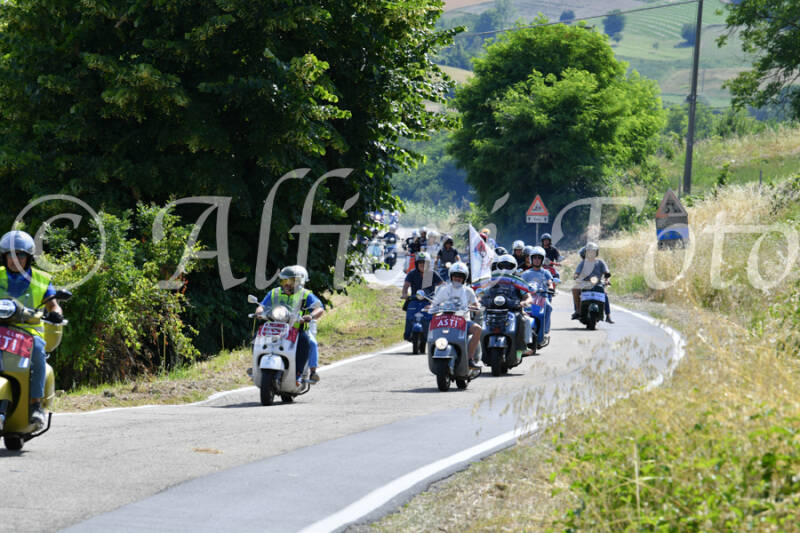 dsc_4318-standard-zv3i53.jpg