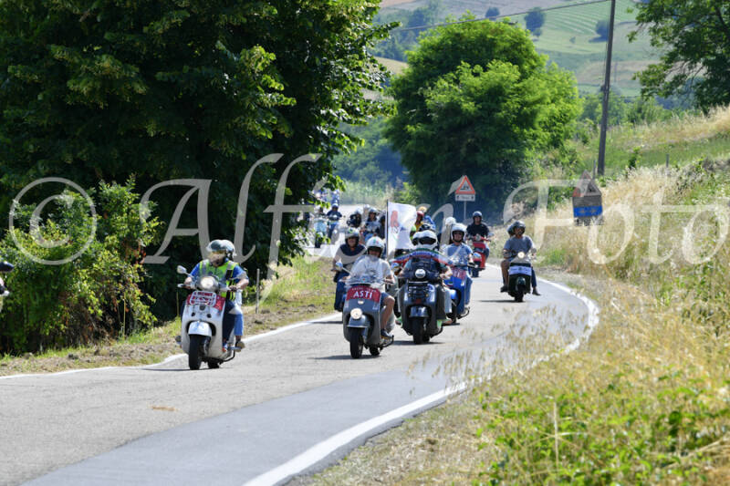 dsc_4319-standard-lcb6ea.jpg