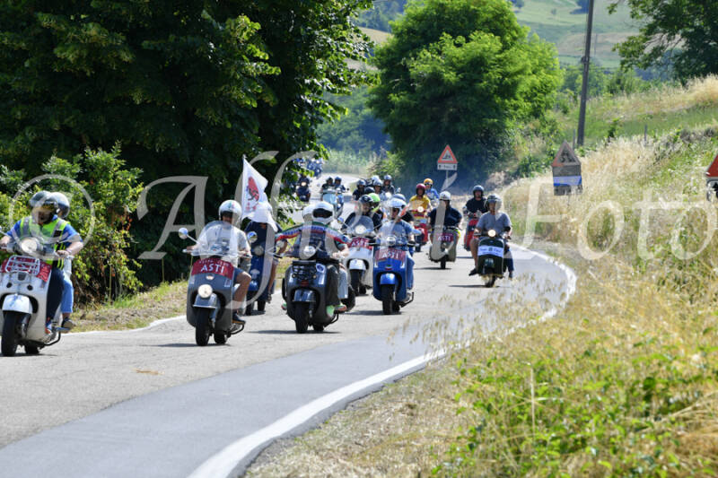dsc_4325-standard-m15l60.jpg