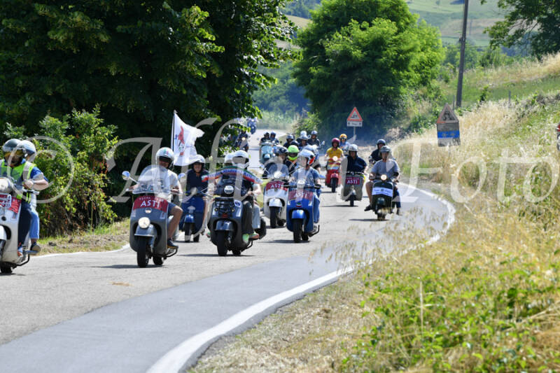 dsc_4326-standard-ql8yii.jpg