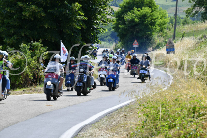 dsc_4327-standard-9uw0y2.jpg