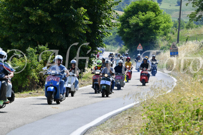 dsc_4335-standard-25prjg.jpg
