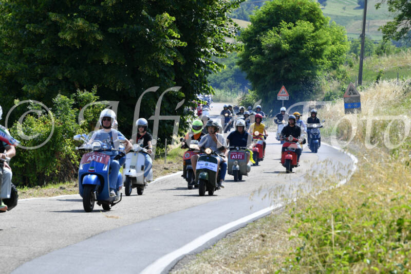 dsc_4336-standard-apjjsh.jpg