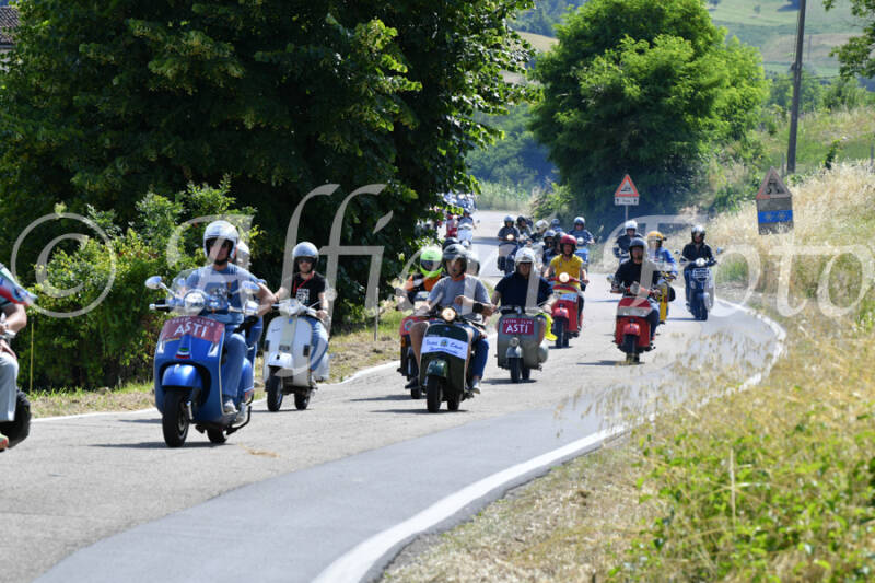 dsc_4337-standard-syppd1.jpg