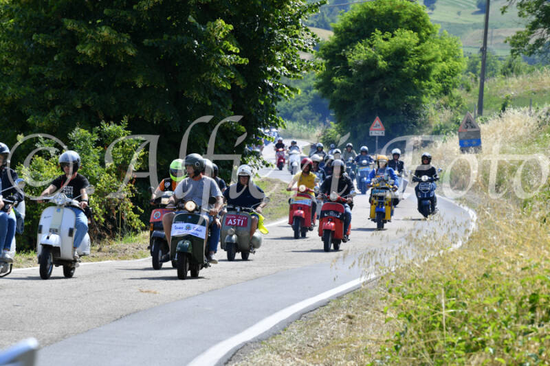 dsc_4341-standard-aw9p5k.jpg