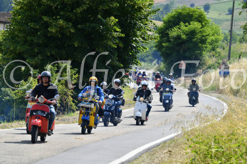 dsc_4349-standard-uzgitz.jpg