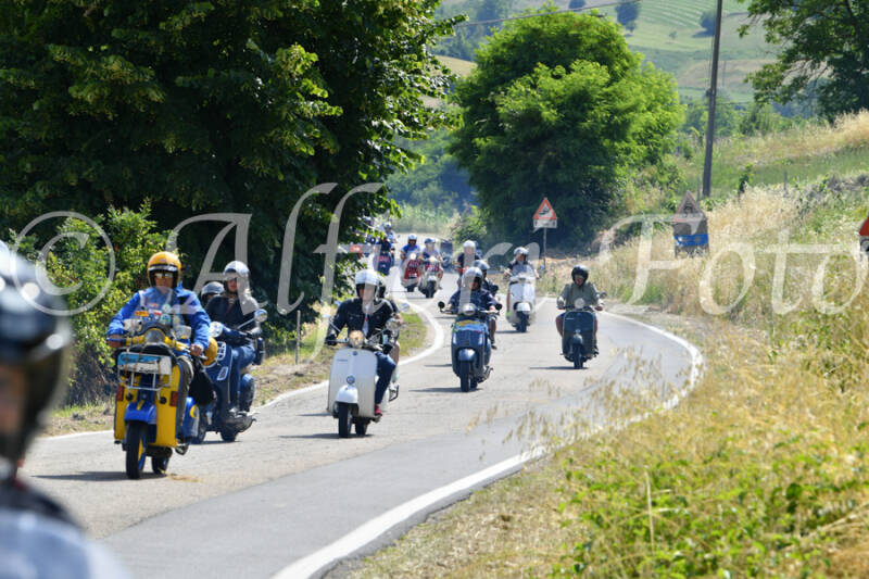 dsc_4351-standard-d9m630.jpg