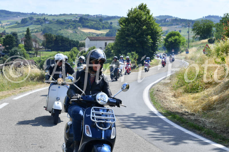 dsc_4364-standard-dgcji0.jpg