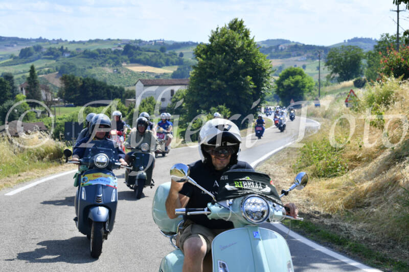 dsc_4370-standard-uhef44.jpg