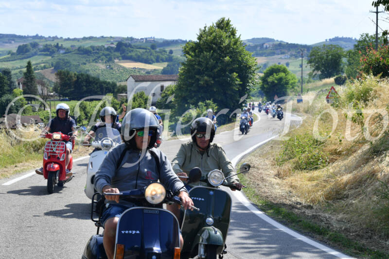 dsc_4372-standard-vk7vse.jpg
