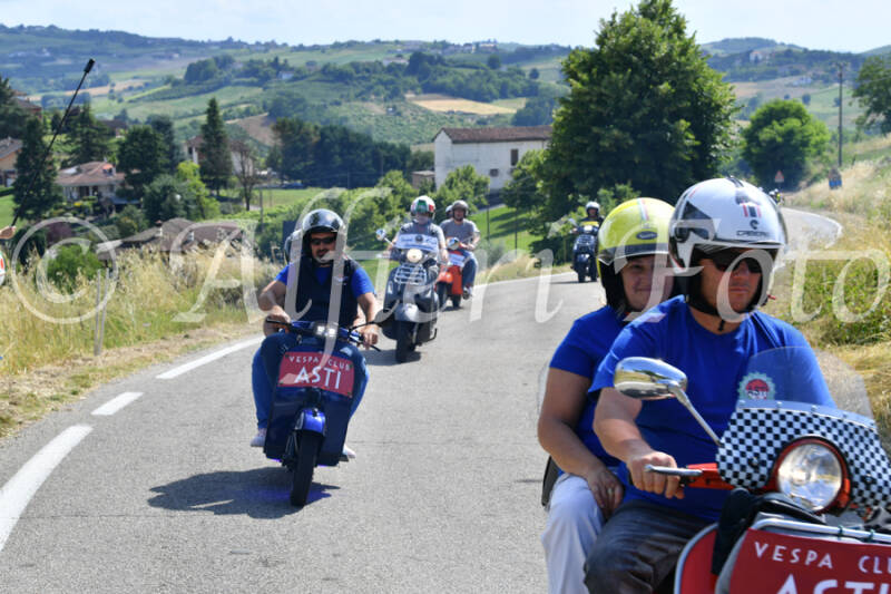 dsc_4388-standard-vxvu9k.jpg
