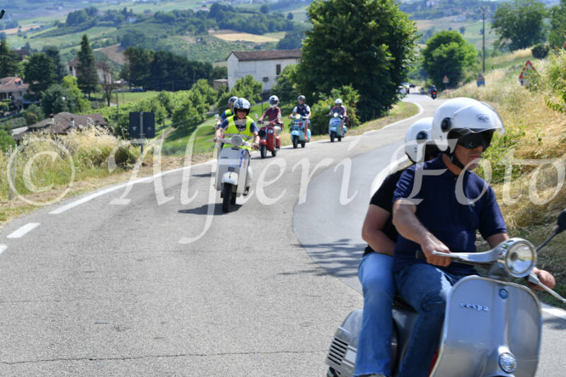 dsc_4403-standard-ad2mfs.jpg