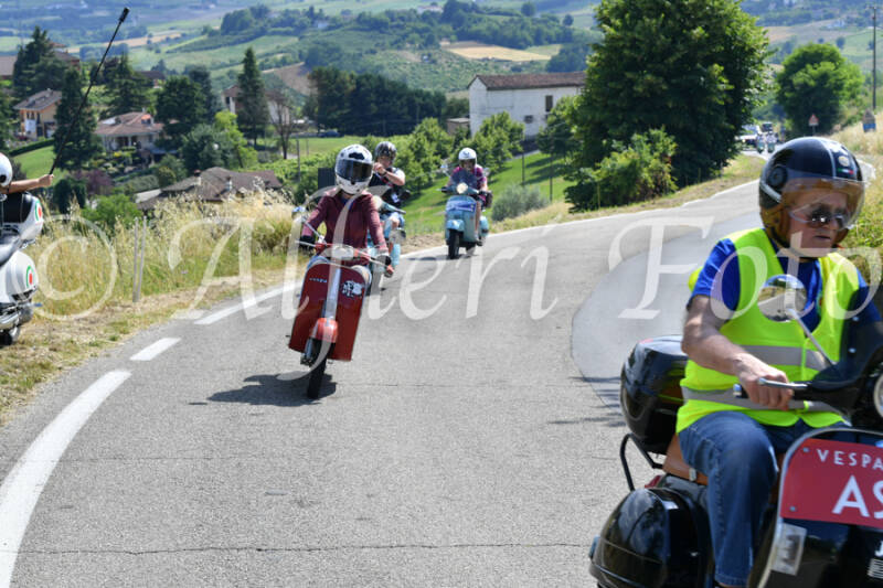 dsc_4410-standard-7jnyio.jpg