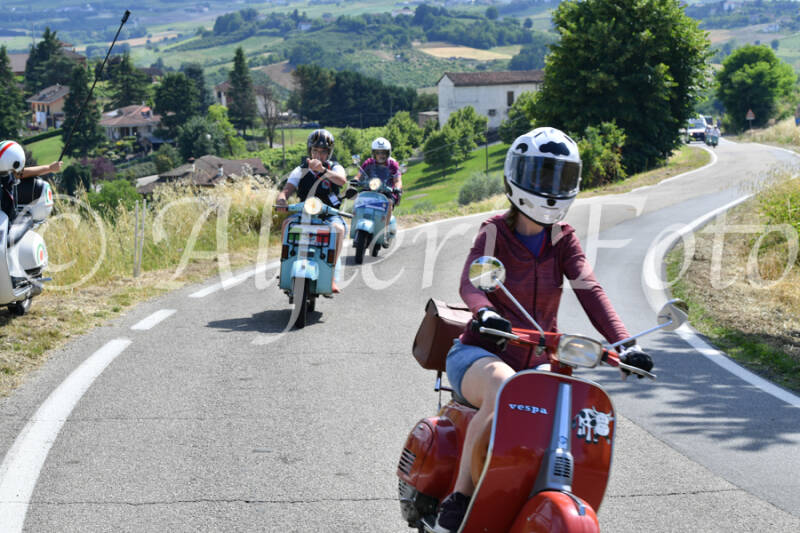 dsc_4413-standard-5zr8zu.jpg