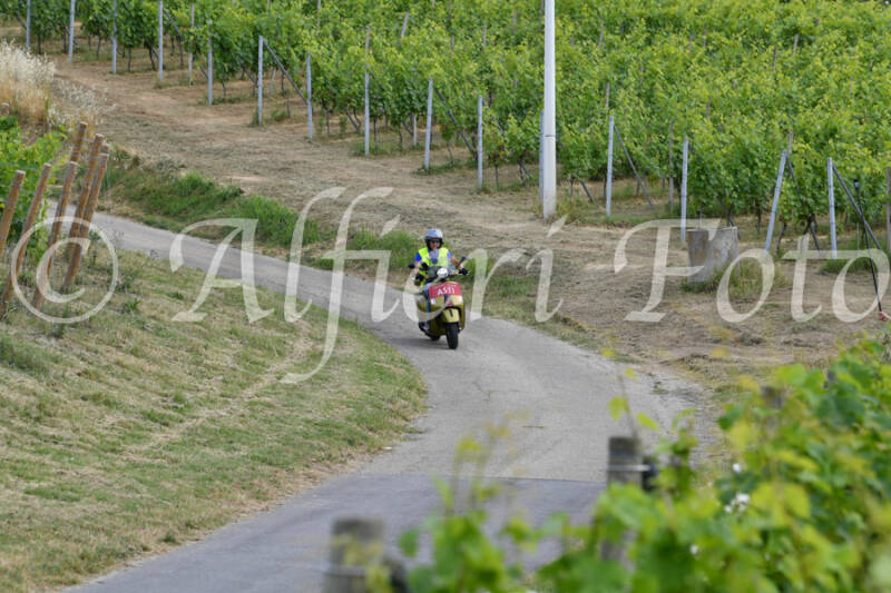 dsc_4433-standard-mwg5ub.jpg
