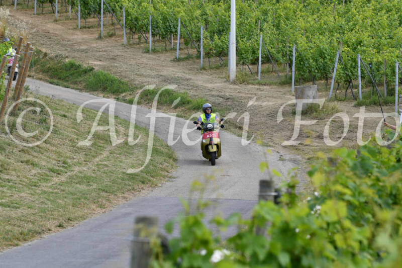 dsc_4434-standard-o27rkd.jpg