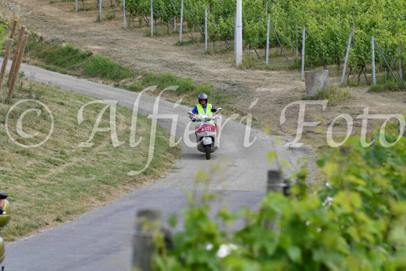 dsc_4437-standard-y36c45.jpg