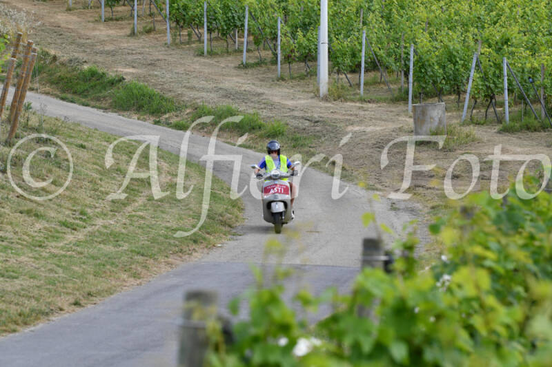dsc_4438-standard-go9625.jpg