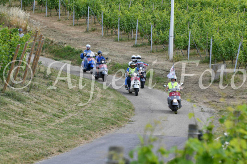 dsc_4448-standard-l4vlqq.jpg