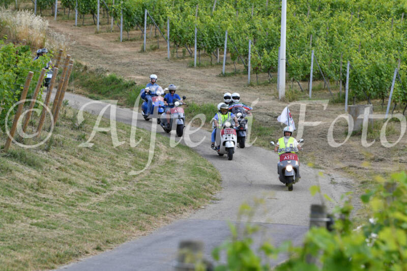 dsc_4449-standard-f3oewx.jpg
