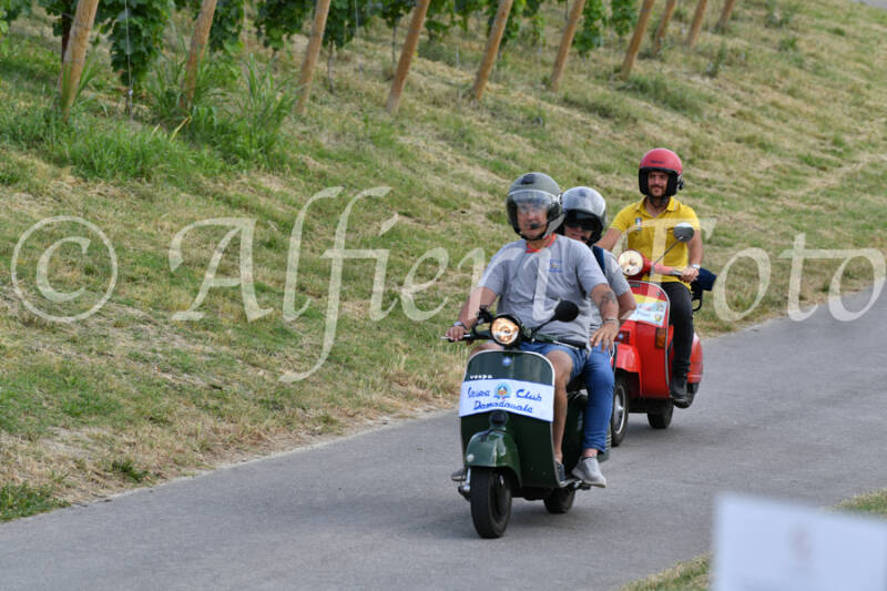 dsc_4472-standard-71jvpj.jpg