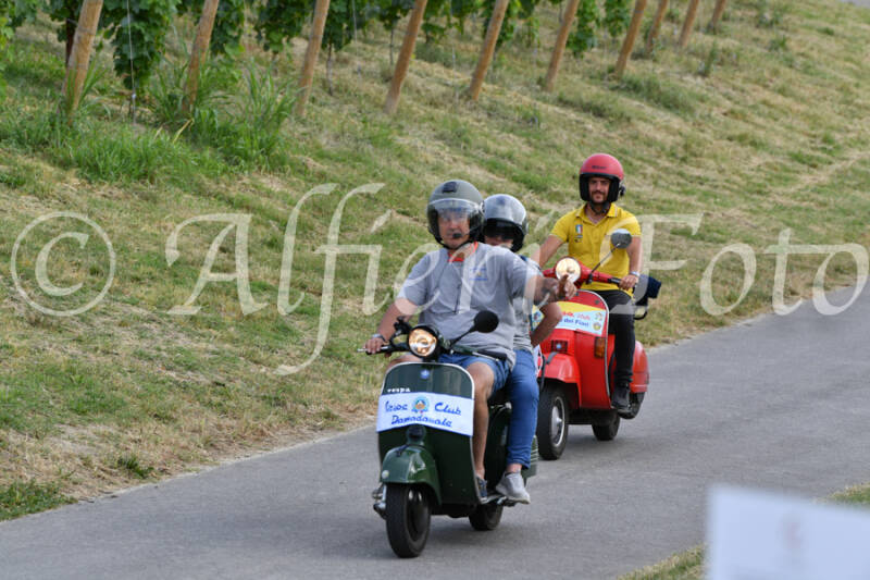 dsc_4473-standard-gerdtc.jpg