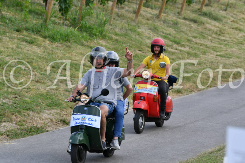 dsc_4475-standard-o1hahm.jpg
