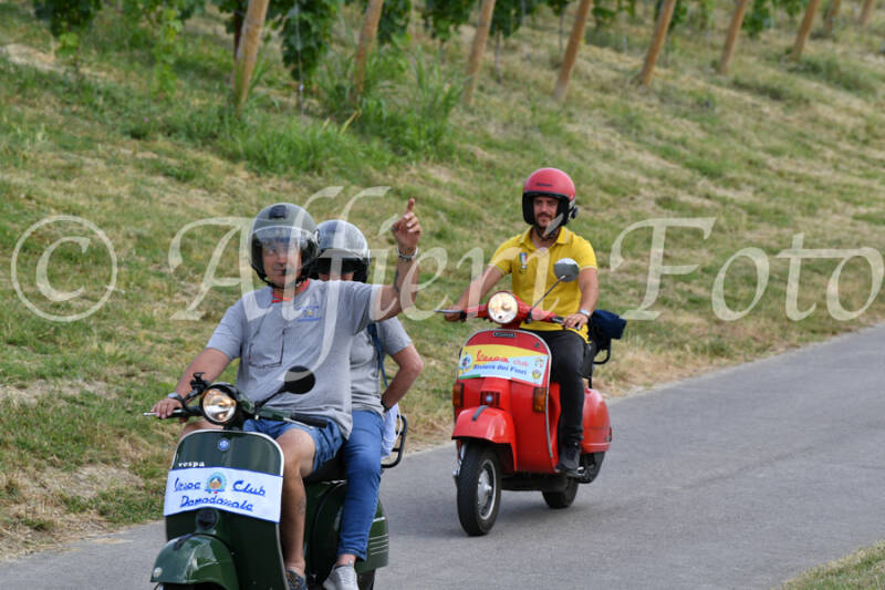 dsc_4476-standard-tli3b1.jpg
