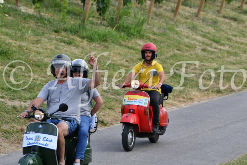 dsc_4477-standard-2y4c2v.jpg