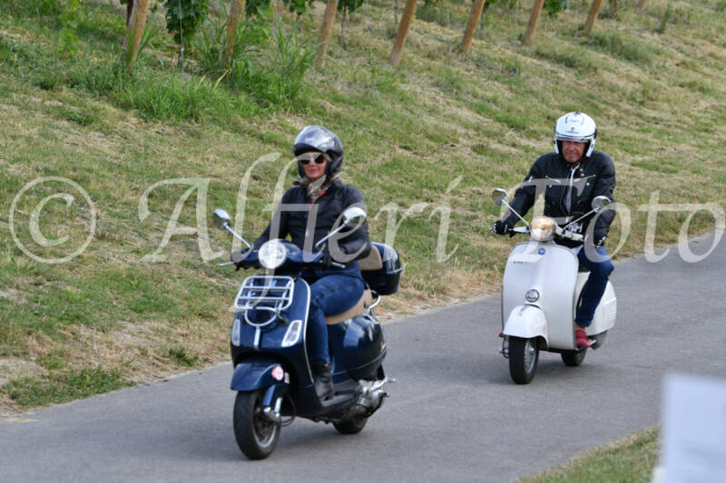 dsc_4482-standard-6mwfgi.jpg