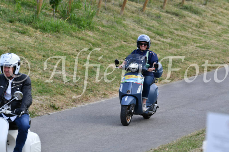 dsc_4487-standard-r8aqtu.jpg