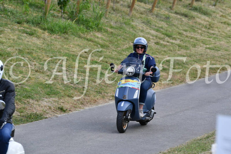 dsc_4488-standard-x8myfp.jpg