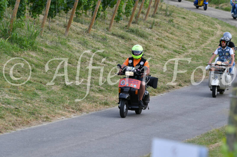 dsc_4490-standard-exdwpb.jpg