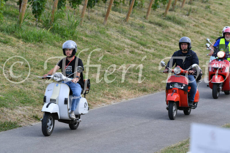 dsc_4497-standard-237rq3.jpg