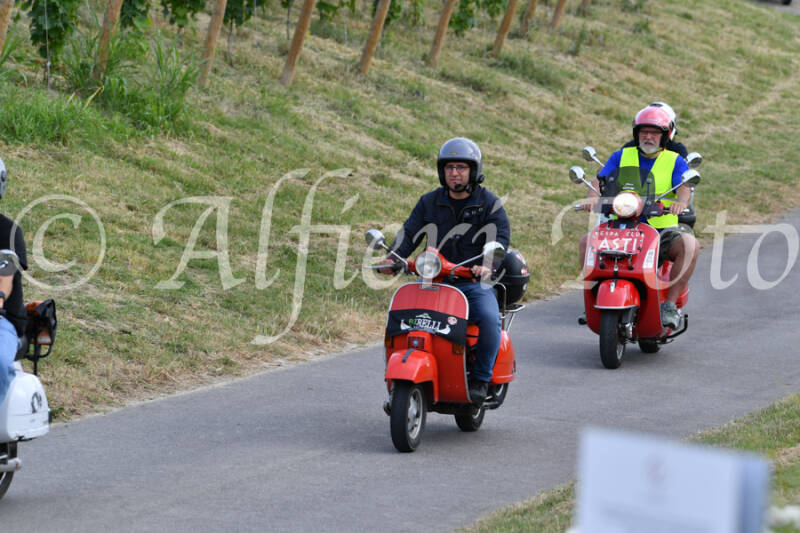 dsc_4498-standard-y4451o.jpg