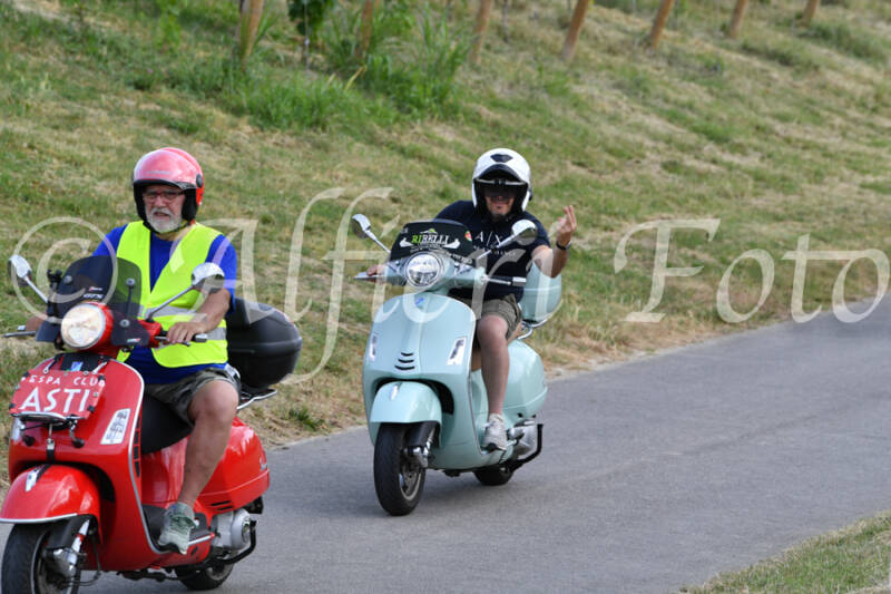 dsc_4505-standard-hdwq1q.jpg