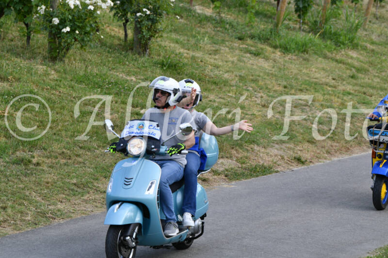 dsc_4518-standard-qyl6n1.jpg