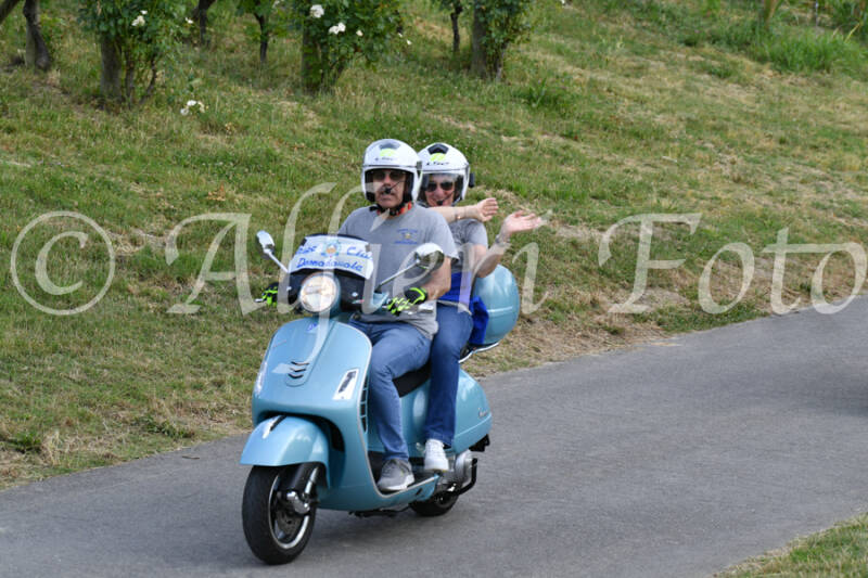 dsc_4519-standard-vh255p.jpg