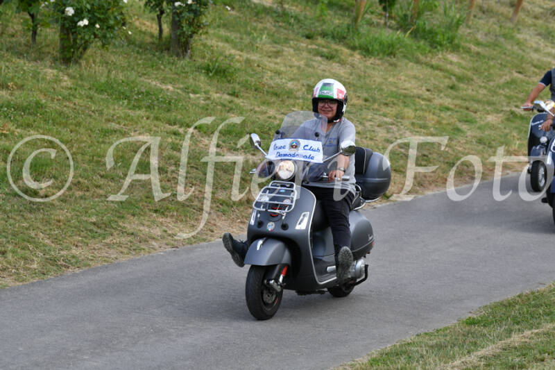 dsc_4526-standard-ufqk7o.jpg