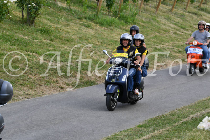dsc_4530-standard-en1kn8.jpg