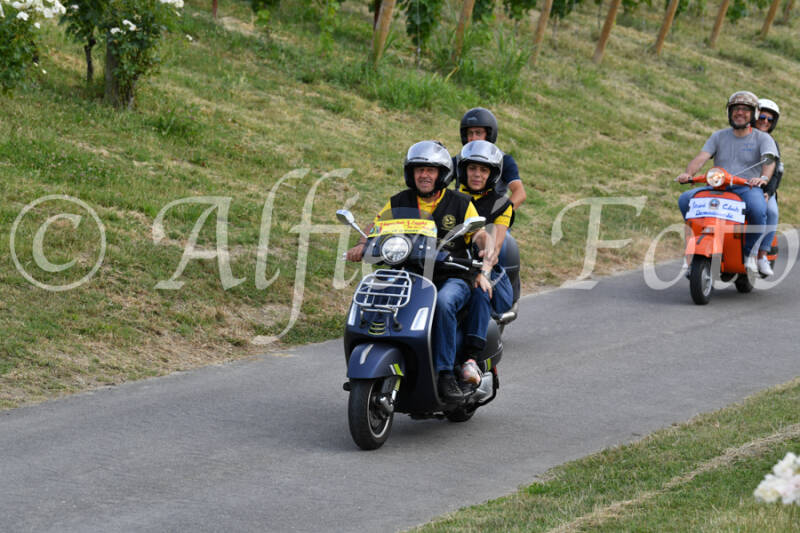 dsc_4531-standard-6fkkec.jpg