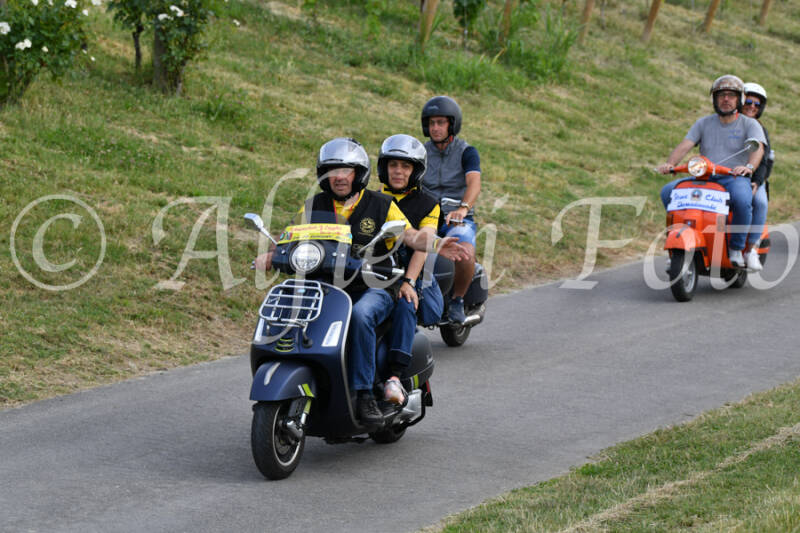 dsc_4532-standard-cgq2u6.jpg