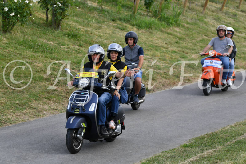 dsc_4533-standard-qmhqh3.jpg
