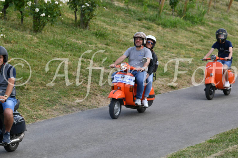 dsc_4538-standard-fznj2f.jpg