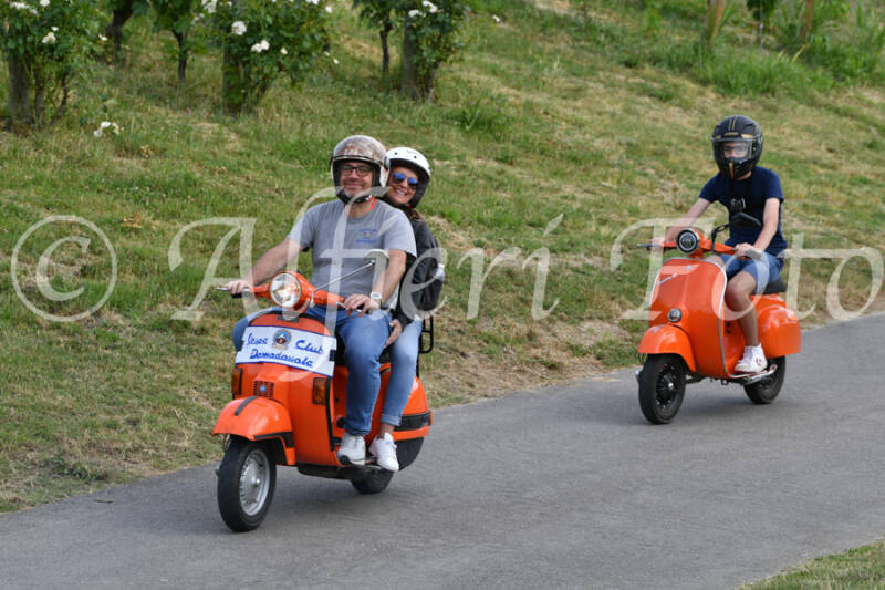 dsc_4541-standard-qkjl83.jpg